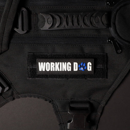 Working Dog w/ Blue Paw