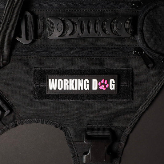 Working Dog w/ Pink Paw