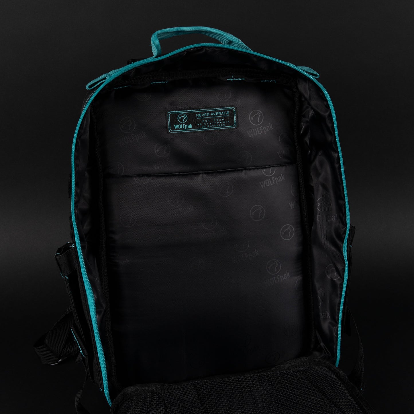 25L Backpack Fierce Aqua: The Resurgence